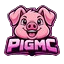 Ikona serwera PIGMC.PL